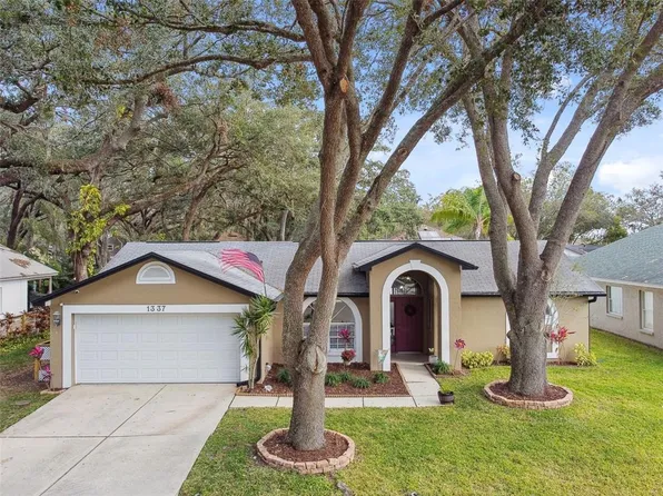 1337 Gangplank Dr, Valrico, FL 33594