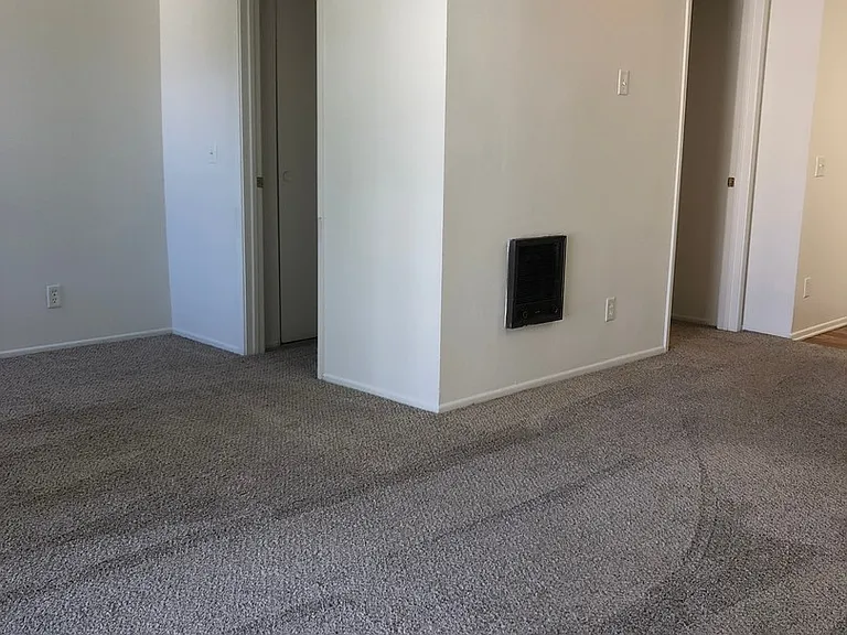 Spring Tree Apartments — Photo 15