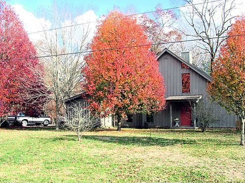 Fall on Daddy's Creek