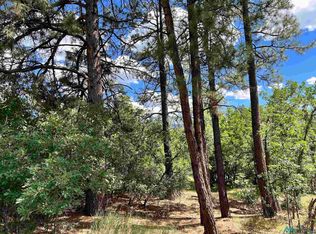 LOT Fifteen Brazos Estates Rd, Chama, NM 87520