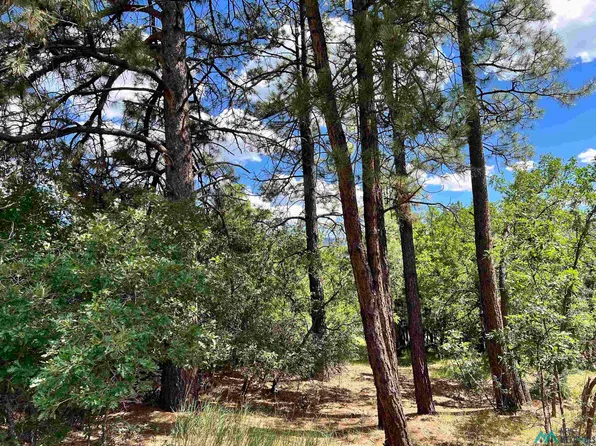LOT Fifteen Brazos Estates Rd, Chama, NM 87520
