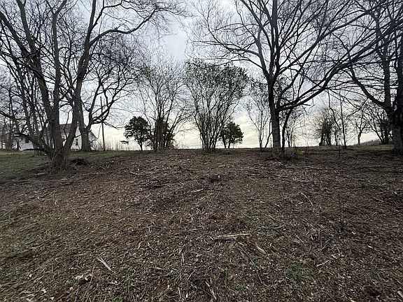 2nd image of 0 Grays Chapel Rd