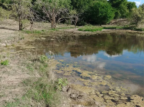 Private Road 451, Grandview, TX 76050