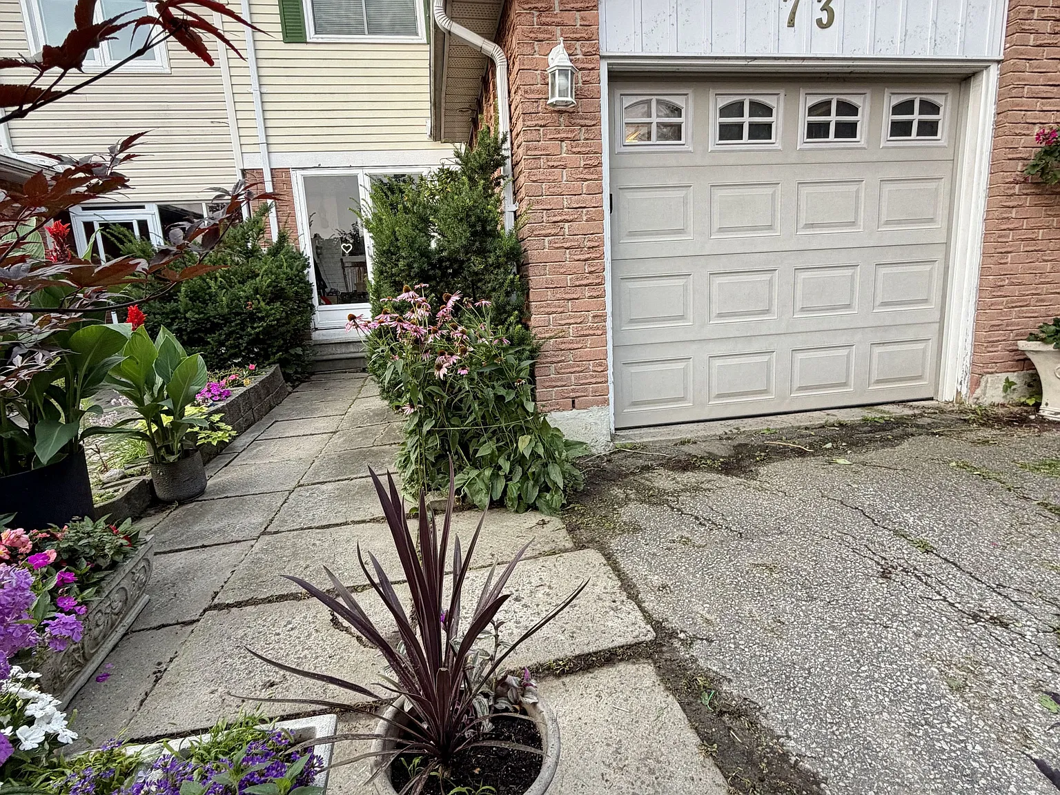3 bed, $3,600 — Photo 3