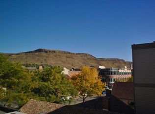1203 Washington Ave #206, Golden, CO 80401