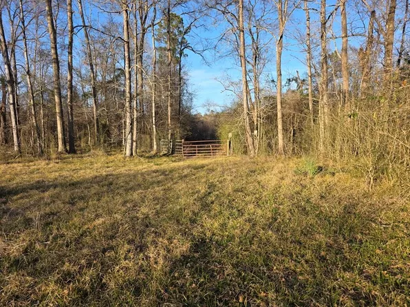 39.088 Ac Hwy #190-E, Jasper, TX 75951