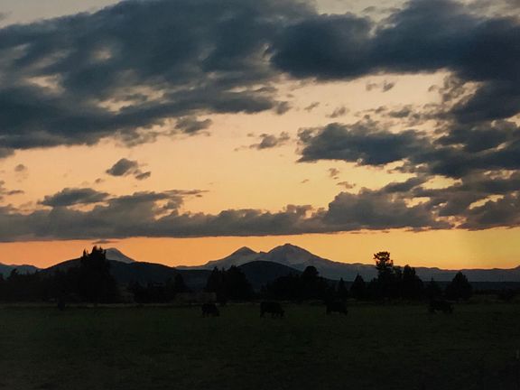 View from backyard 