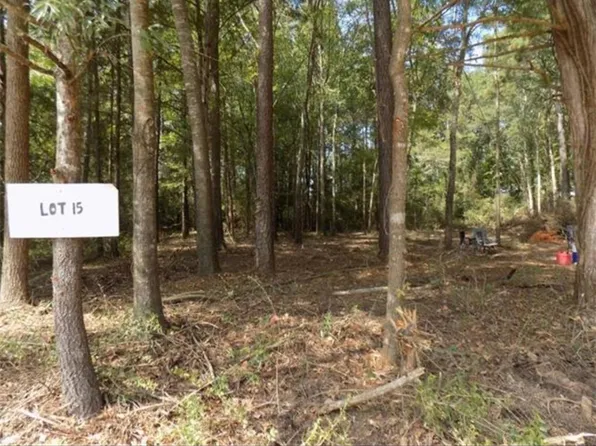 0 Shannon Ln #15, Chatham, LA 71226