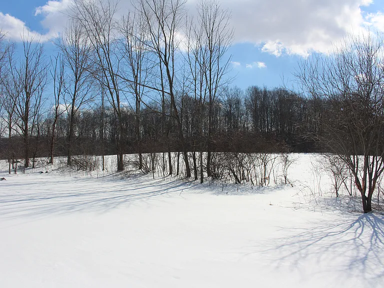 13553 Mayfield Rd — Photo 40