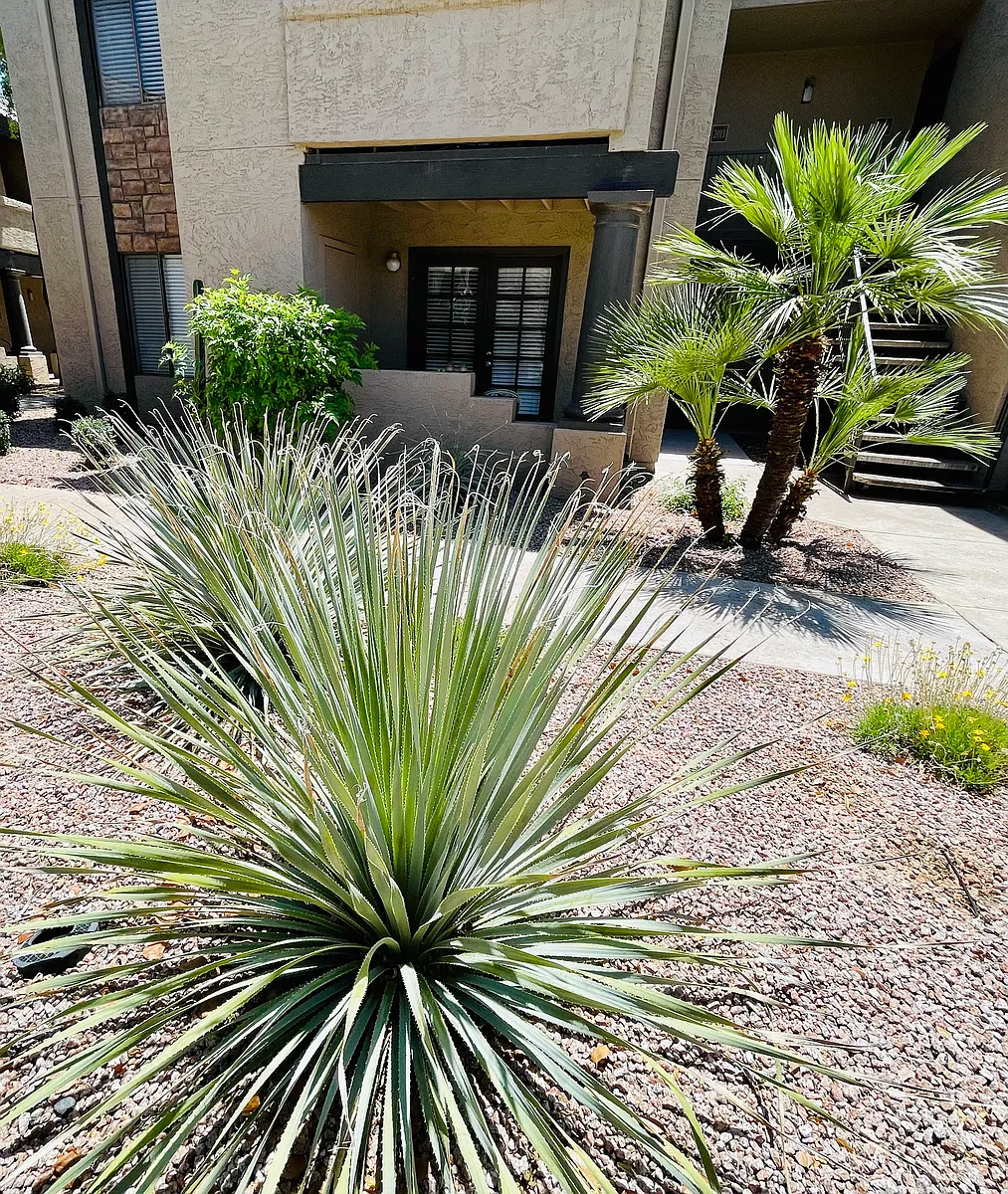 Photo 2 of 29 - 5995 N 78th St #101 - Scottsdale, AZ Building Photo - 5995 N 78th St #101