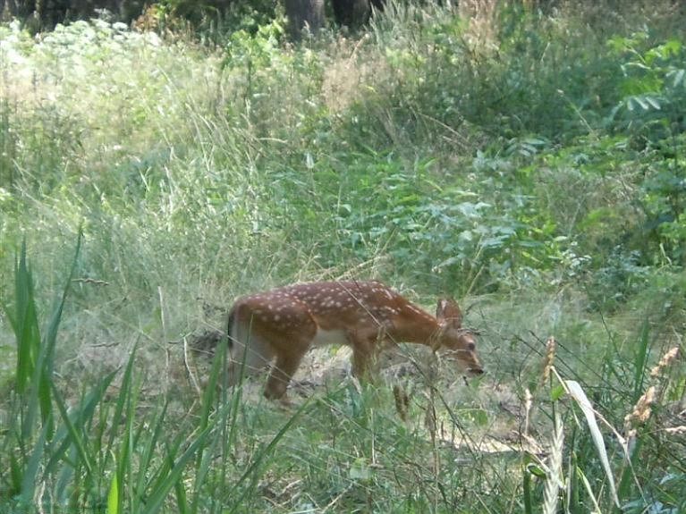 1st image of Turkey Trail Dr