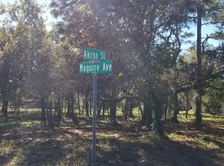 Akront St, Spring Hill, FL 34608
