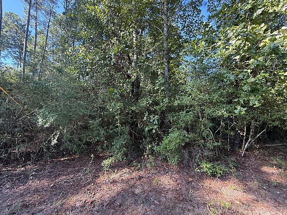 3rd image of County Road 3385
