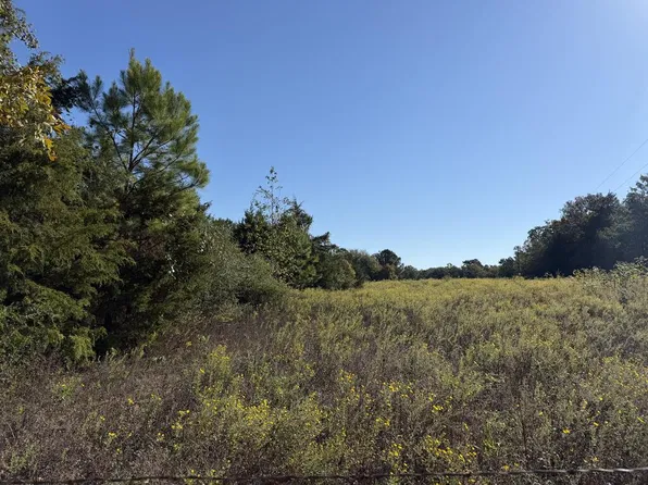 0 An County Rd #2409, Montalba, TX 75801
