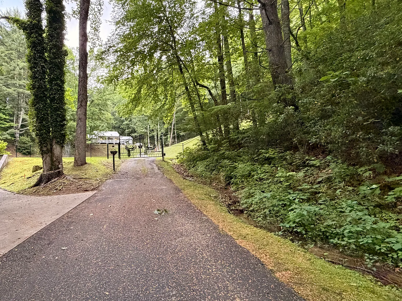 Peek And Peak Ln, Scaly Mountain — Photo 2