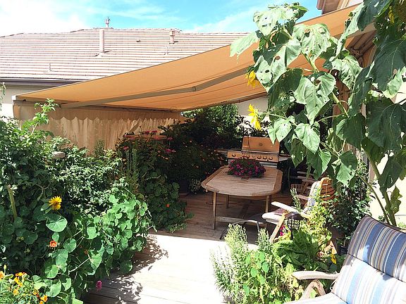 Retractable Awning Out