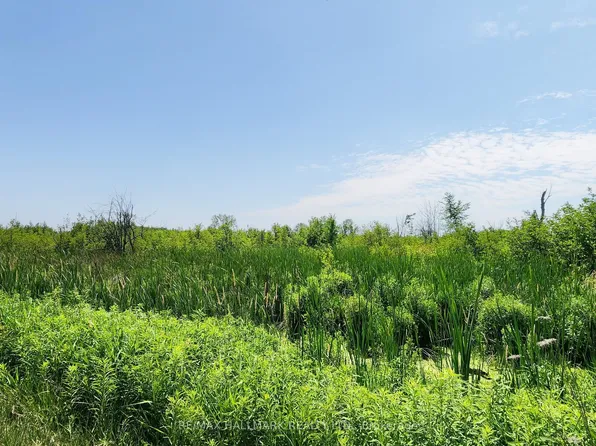 20200 Highway 48, East Gwillimbury, ON L0G 1M0