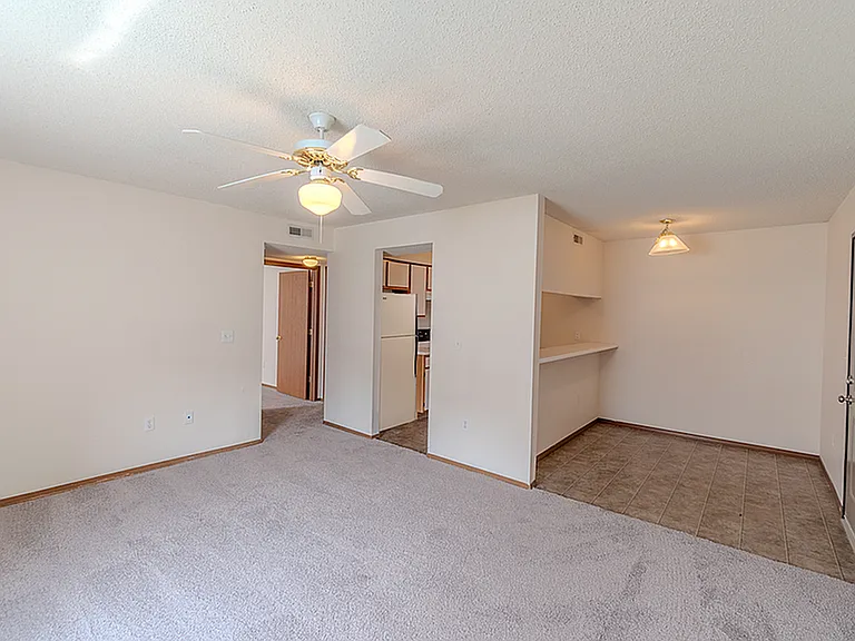 Dining and Kitchen Area