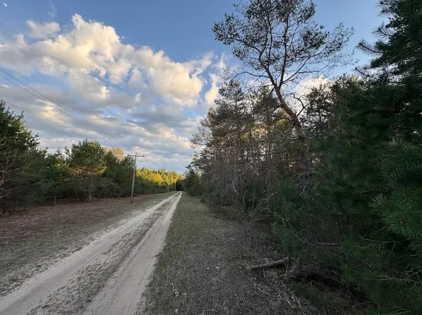 Kaleva St, Kaleva, MI 49645