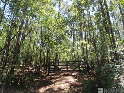 0 Aunt Margies Rd, Greensburg, LA, 70441