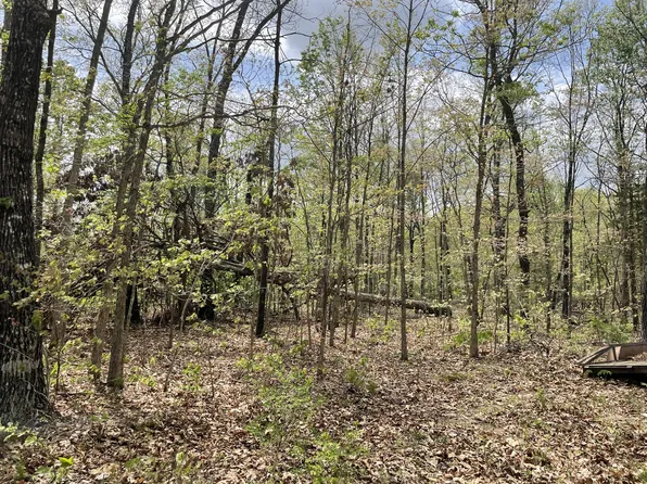 000 State Hwy N Tract B, Ava, MO 65608