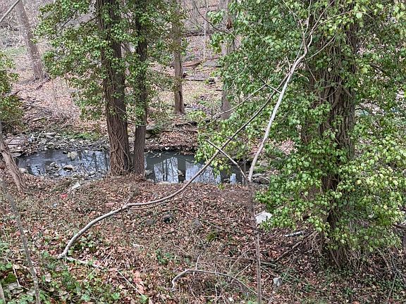 Darby Creek View