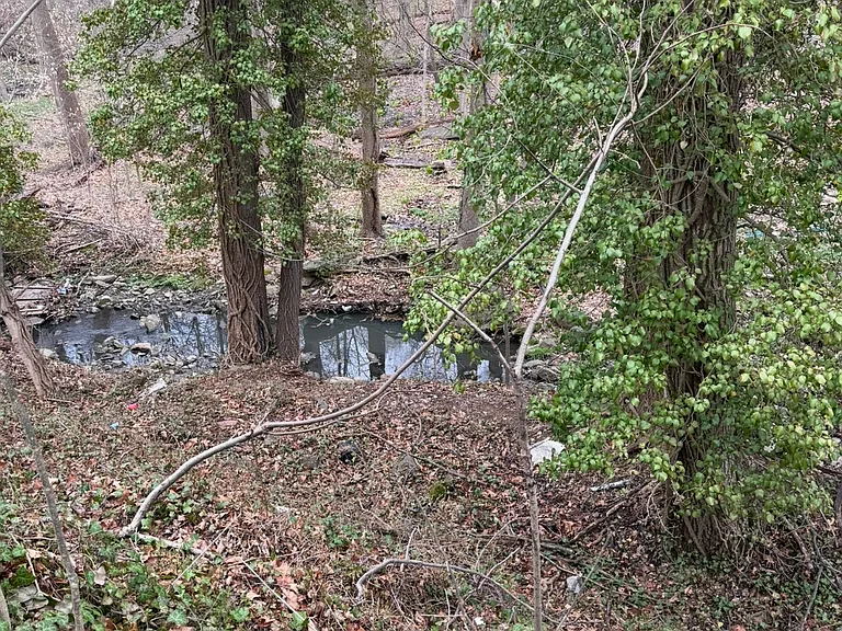 Darby Creek View