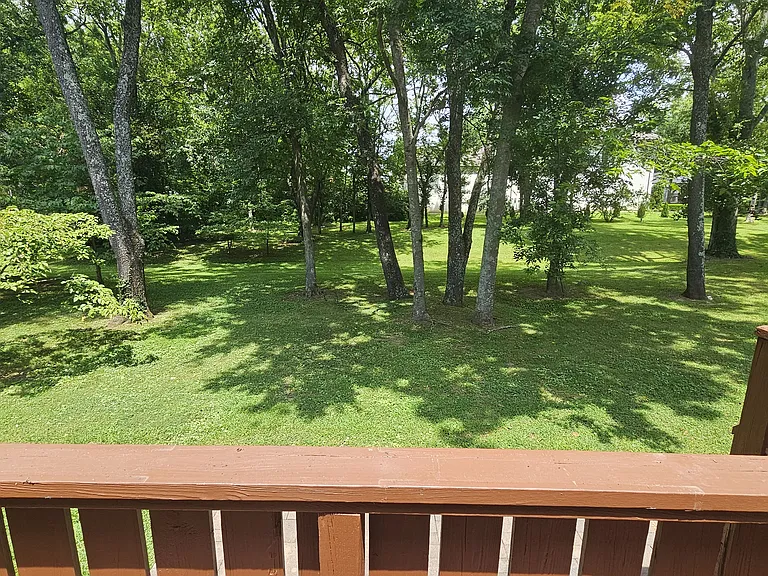 Back deck view. Trees are perfect for setting up a hammock.