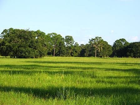 LOVELY GATED  and HIGH AND DRY