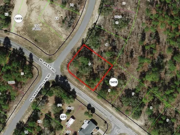 10429 N G Martinelli Blvd, Citrus Springs, FL 34433