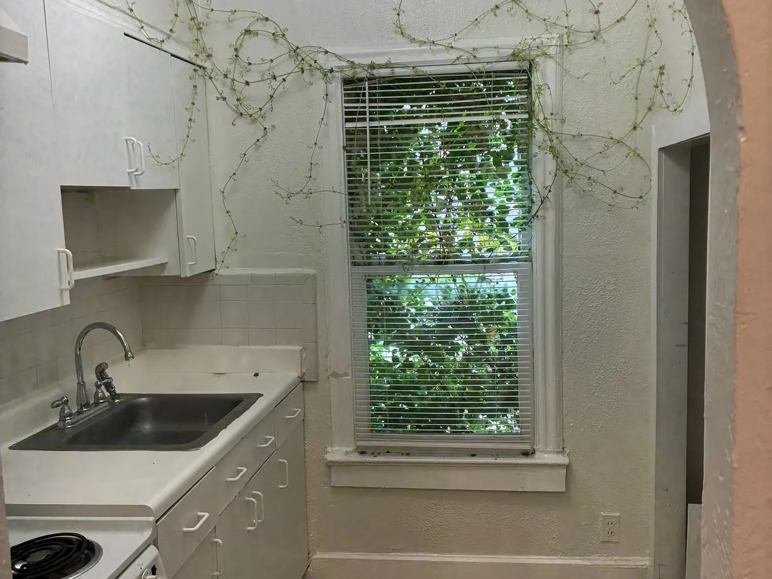 1 bed, 600 sqft, $1,200 — Photo 3