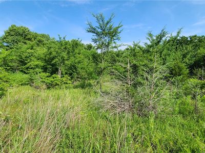 Posy Mountain Dr #324, Rogers, AR, 72756