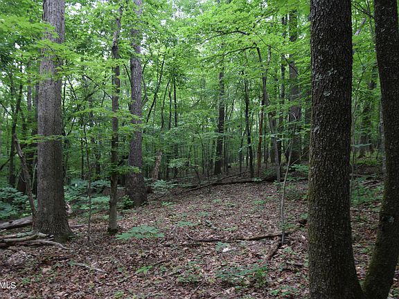 5th image of Patton Lane & Old Patton Ln