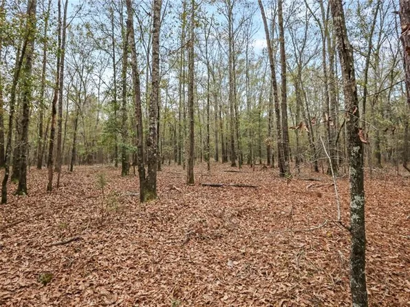 923 Hunter Rd Tract 6, Ellaville, GA 31806