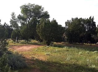 2831 S Bourdon Ranch Rd, Taylor, AZ 85939