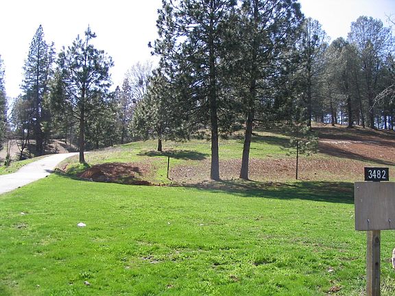 Looking up driveway towards home