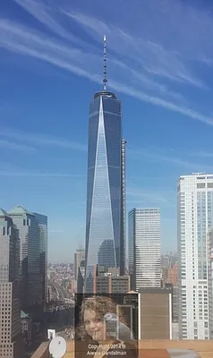 Rented by New York Residence | media 59