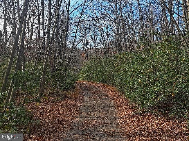 2nd image of Fox Tail Rd