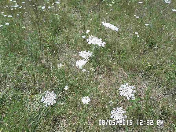 4th image of LOT 40 N Grand Videre Dr