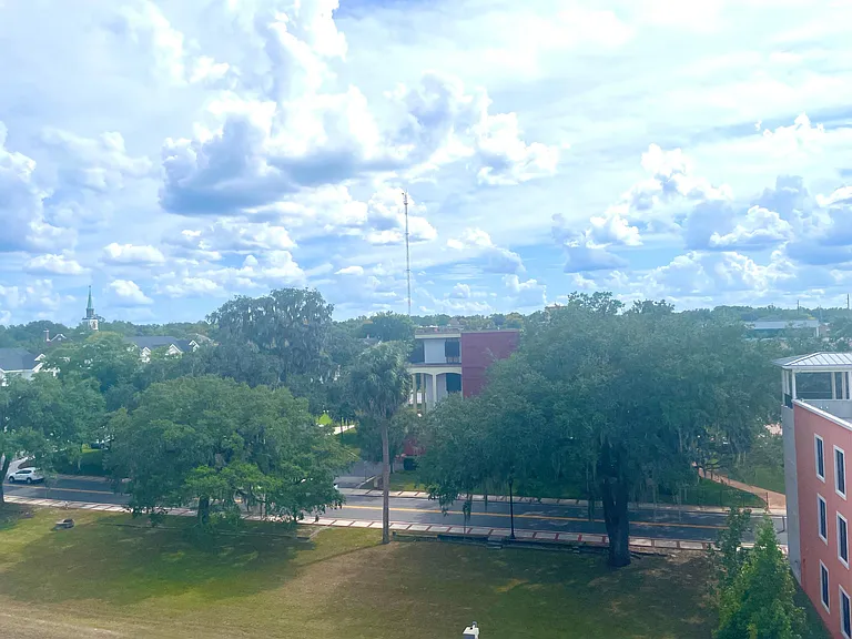 View of City Hall
