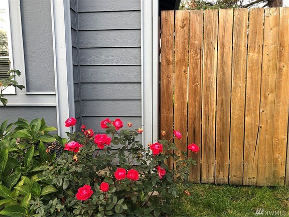 4th image of 16918 15th Ave E