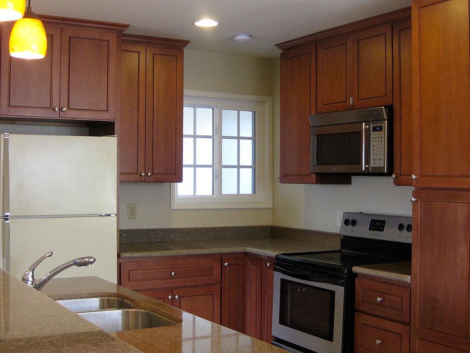 New microwave and dishwasher. Newer stove and fridge.