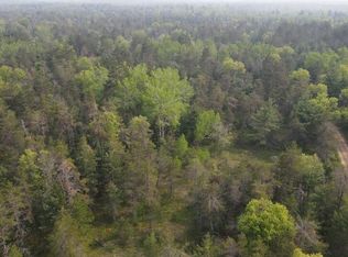 PARCEL Cherry Creek Trl #C, Grayling, MI 49738