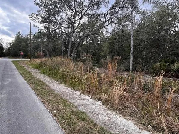 Locust Radl Lot 1, Ocala, FL 34472