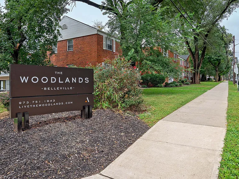 The Woodlands — Photo 16
