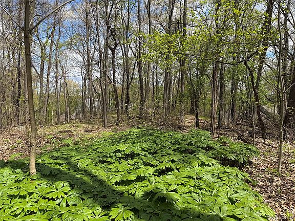 5th image of LOT 25 Hidden Ridge Trl