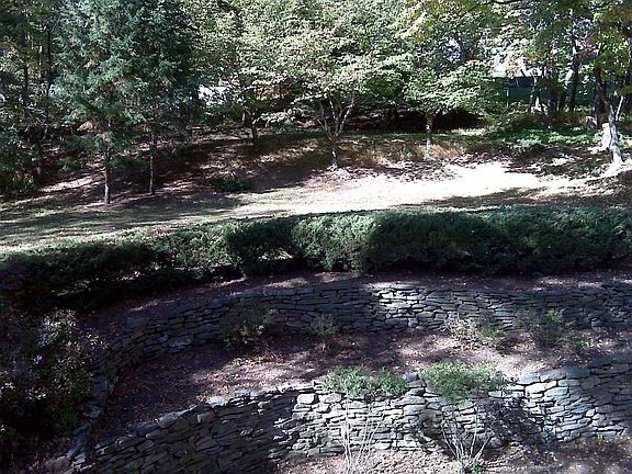 BackYard (Partial View)