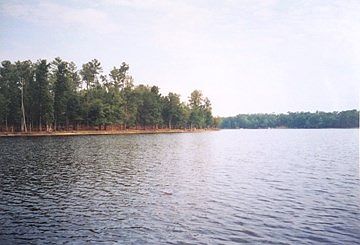 2nd image of 918 Eagles Harbor Dr