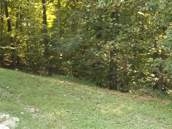 2nd image of 708 Overton Dr