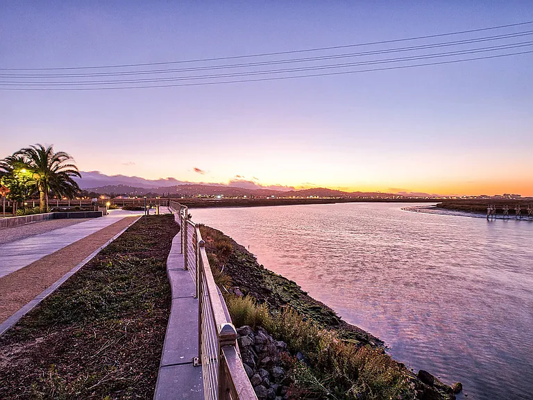 Walk your dog along the marina